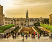 Брюксел - Килим от цветя, със самолет и обслужване на български език