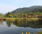 Круиз АМАЗОНКА С ИГУАСУ И РИО ДЕ ЖАНЕЙРО 5 юли 2026 | НОВА ГРУПА