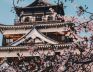Величието на Япония по време на цъфтежа на вишните - 12 дни