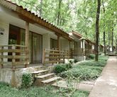 ВИЛИ РОПОТАМО