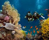 Почивка в Египет - кацане в Кайро и прибиране от Шарм ел Шейх