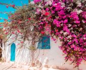 Почивка на о-в Джерба, Тунис със самолет от София във Вторник - 7 нощувки