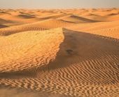 Тунис от А до Я - полет от София - 2026