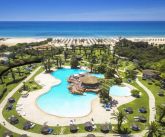 Sentido Phenicia Superior